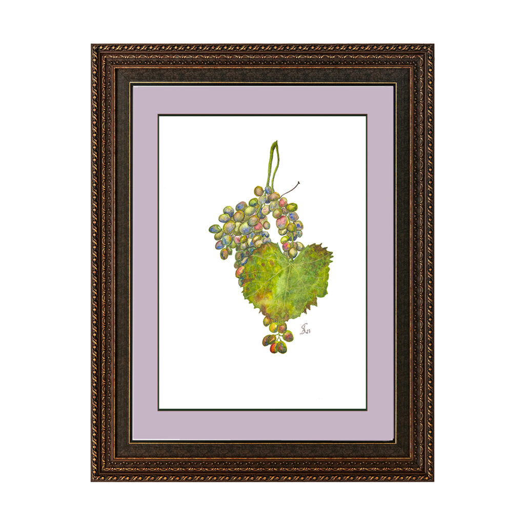 Herbstliche Weinrebe – Fine Art Print in der Größe DIN A4